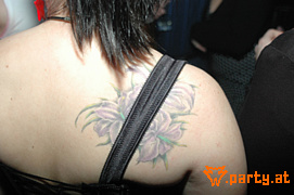Bild 62