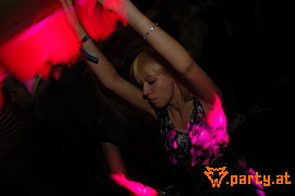 Bild 245