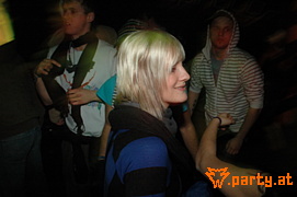 Bild 271
