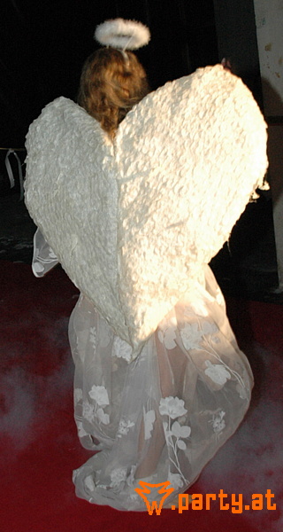 Bild 78