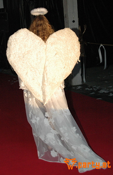 Bild 97
