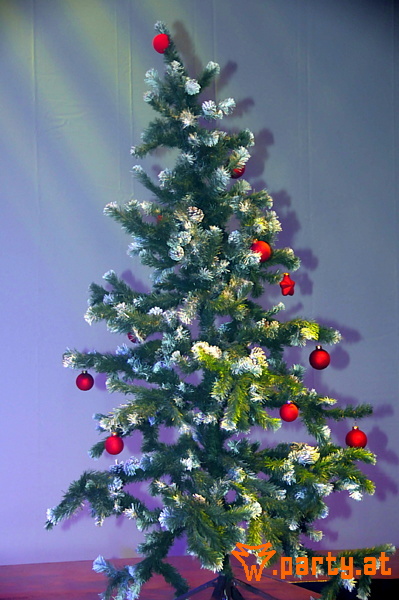 Bild 62