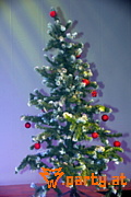 Bild 62