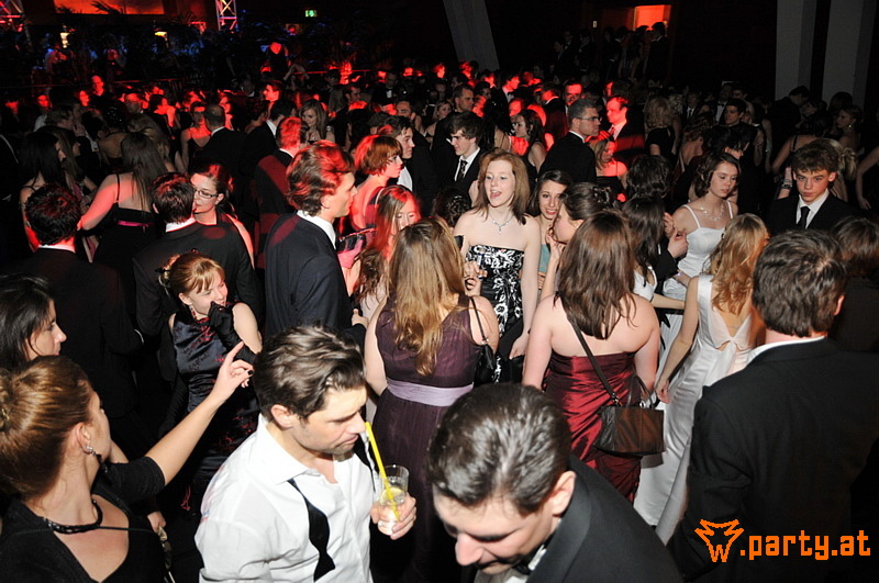 Bild 419
