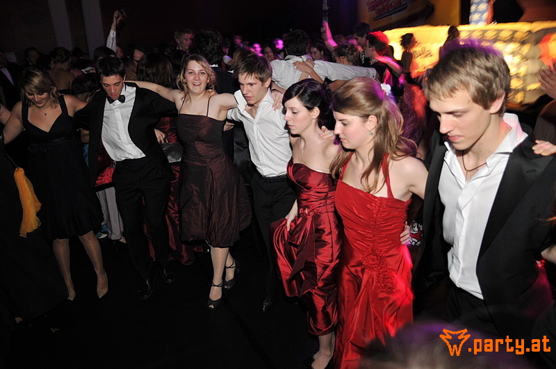 Bild 516