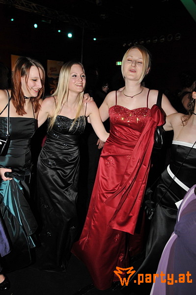 Bild 531