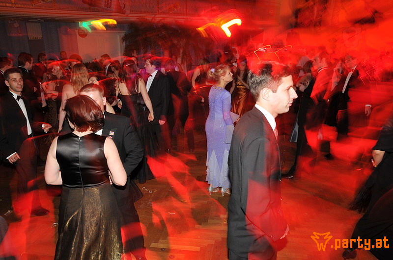 Bild 535