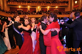 Bild 171