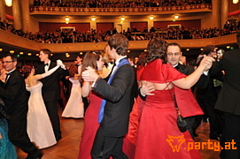 Bild 172