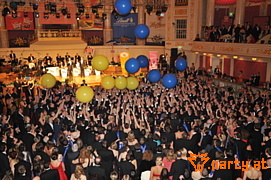 Bild 195