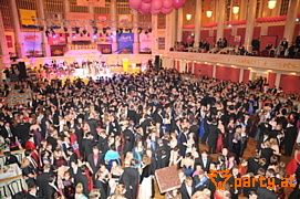 Bild 202
