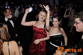 Bild 533
