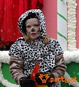 Bild 201