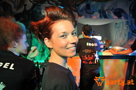 Bild 292