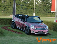 Bild 42