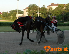 Bild 59