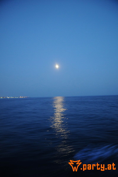 Bild 243