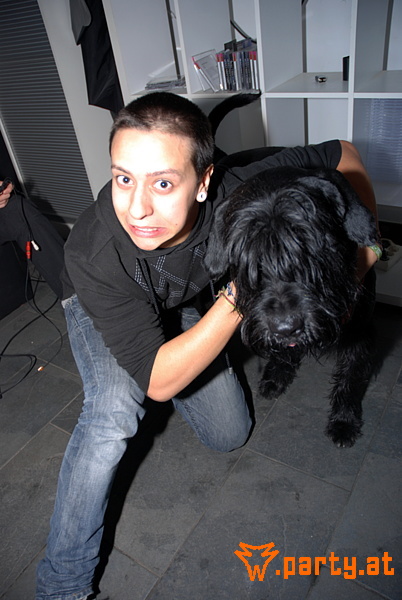 Bild 102