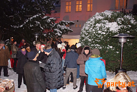 Bild 65