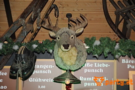 Bild 51