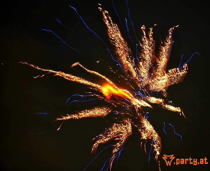Bild 52