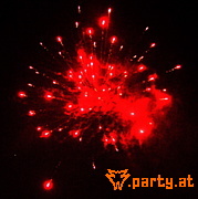 Bild 41
