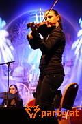 Bild 41
