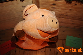 Bild 48