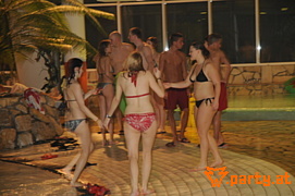 Bild 95