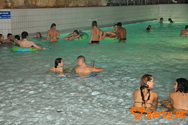 Bild 104