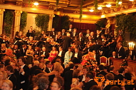 Bild 394