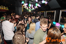 Bild 95