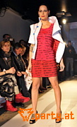 Bild 102