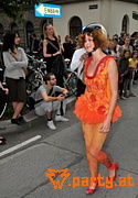 Bild 81