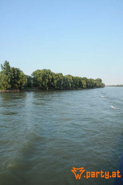 Bild 231