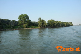Bild 233