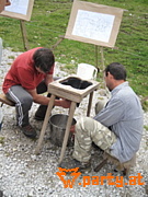Bild 51