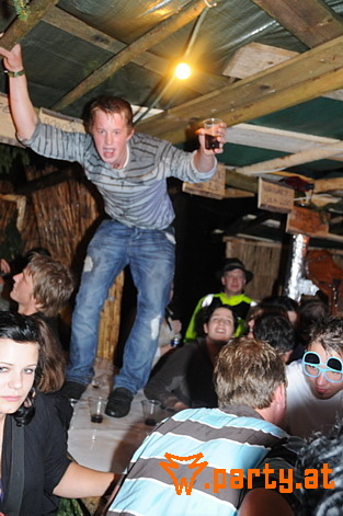 Bild 231