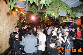 Bild 245