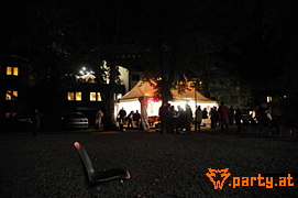 Bild 45