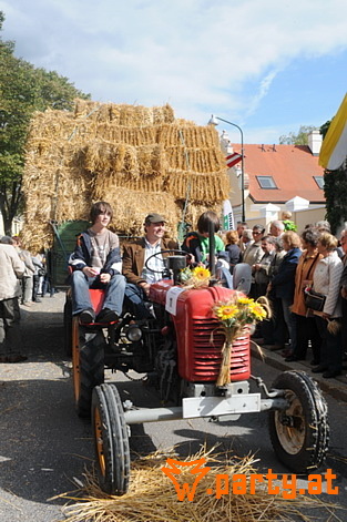Bild 64