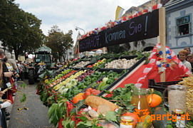 Bild 136