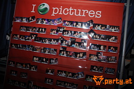 Bild 294