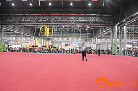 Bild 196