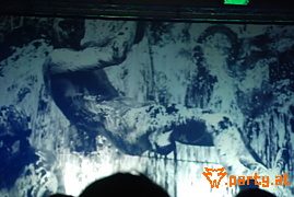 Bild 99