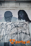 Bild 119