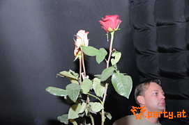 Bild 32