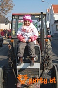 Bild 66
