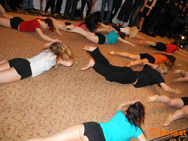 Bild 52 - Pressekonferenz Dancer against Cancer 2011, Hotel InterContinental Wien Bild 52