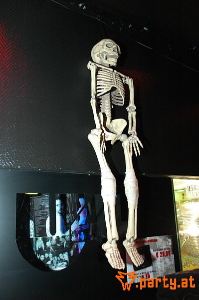 Bild 24